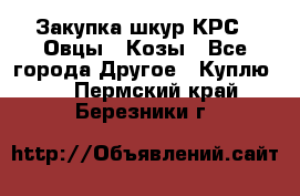 Закупка шкур КРС , Овцы , Козы - Все города Другое » Куплю   . Пермский край,Березники г.